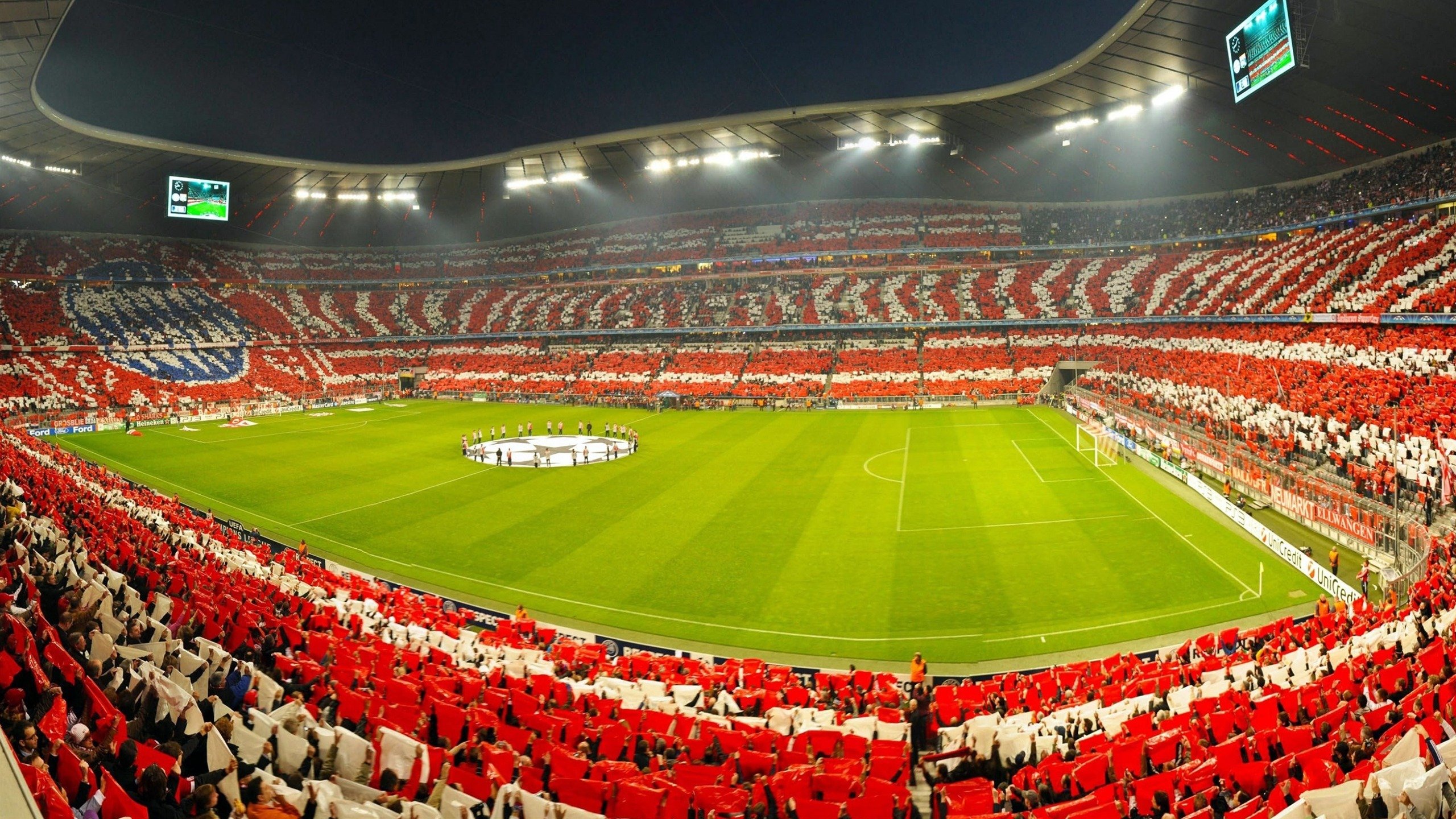 _运动员日常：训练、休闲、互动全纪录_，运动员的日常